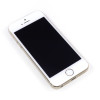 iPhone 5S icon