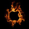 fire_apple_oheň icon logo