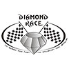 diamon-race-icon