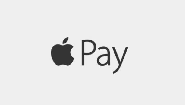 apple_pay_icon