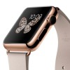 apple watch edition icon
