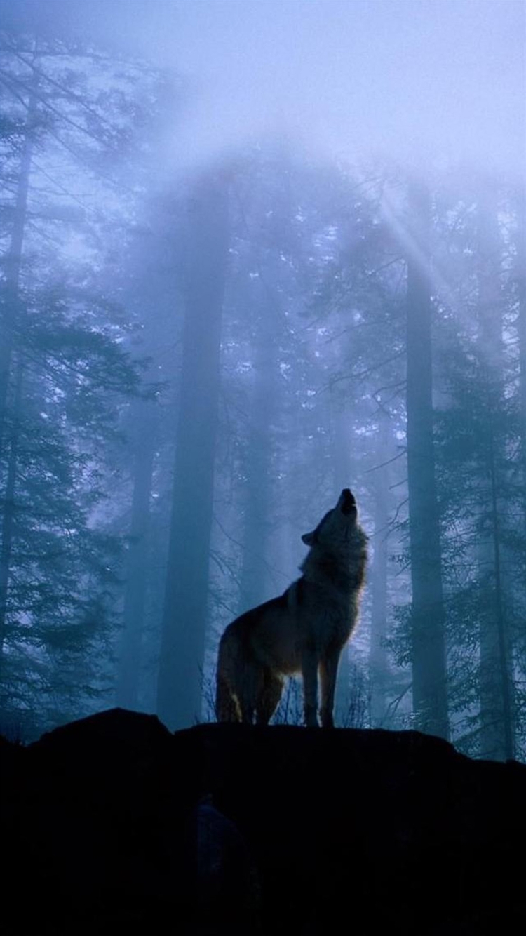 Twilight-Foggy-Forest-Wolf-Howl-iPhone-6-wallpaper-ilikewallpaper_com_750