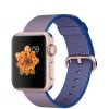 Apple Watch icon 2