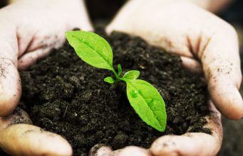 Všech 14 čínských montážních továren Applu v Číně neprodukuje odpad