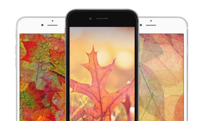 iTapety týdne: Podzim