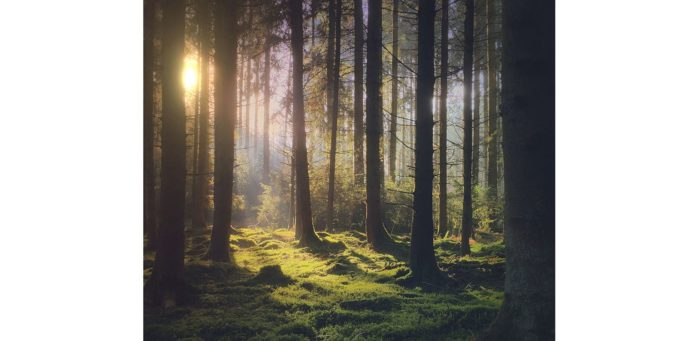 Apple zveřejnil výzvu, ve které mají uživatelé zasílat své fotografie, někteří lidé požadují finanční odměnu