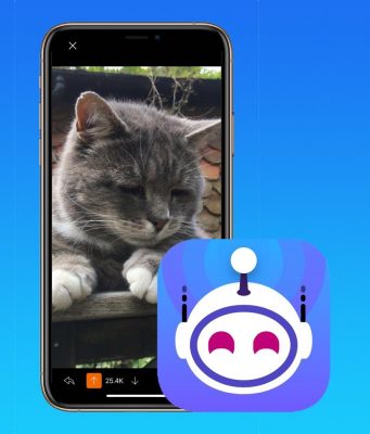 Vývojáři aplikace Apollo for Reddit věnují 100% zisku útulku