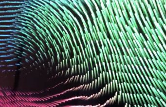 Třetí beta verze macOS Catalina obsahuje nový spořič obrazovky