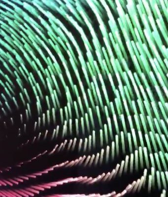 Třetí beta verze macOS Catalina obsahuje nový spořič obrazovky