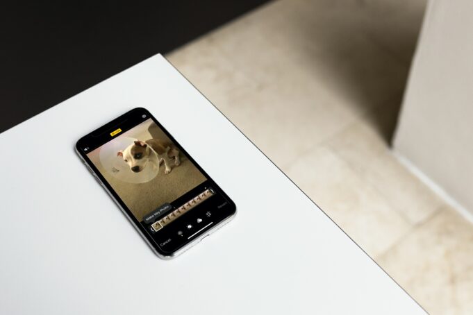 Návod – Jak změnit výchozí obrázek pro Live fotografii na iPhonu a iPadu