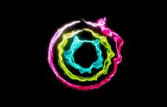 Návod – Jak zobrazit spálené kalorie na Apple Watch – aktivní, pasivní a celkové