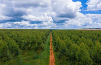 Apple investuje dalších 200 milionů dolarů do fondu obnovy