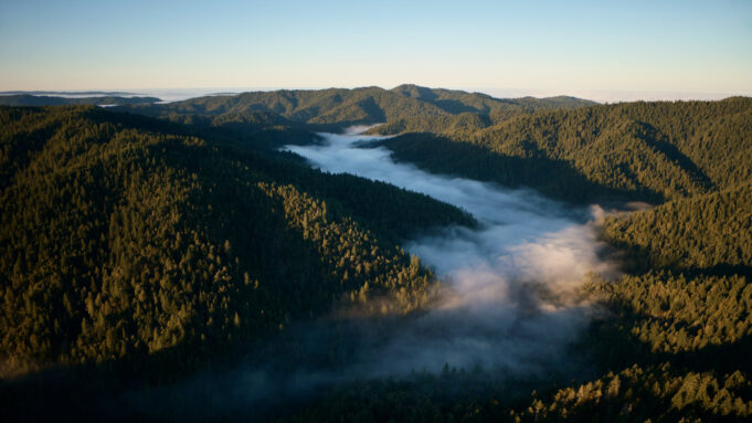 Apple investuje do obnovy a ochrany kalifornské oblasti Gualala River Forest