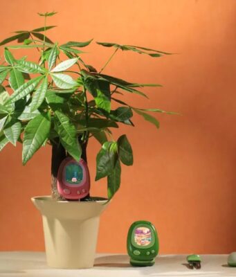 CES 2026: Senso je chytrý senzor, který se snaží pomocí umělé inteligence zlepšit péči o rostliny