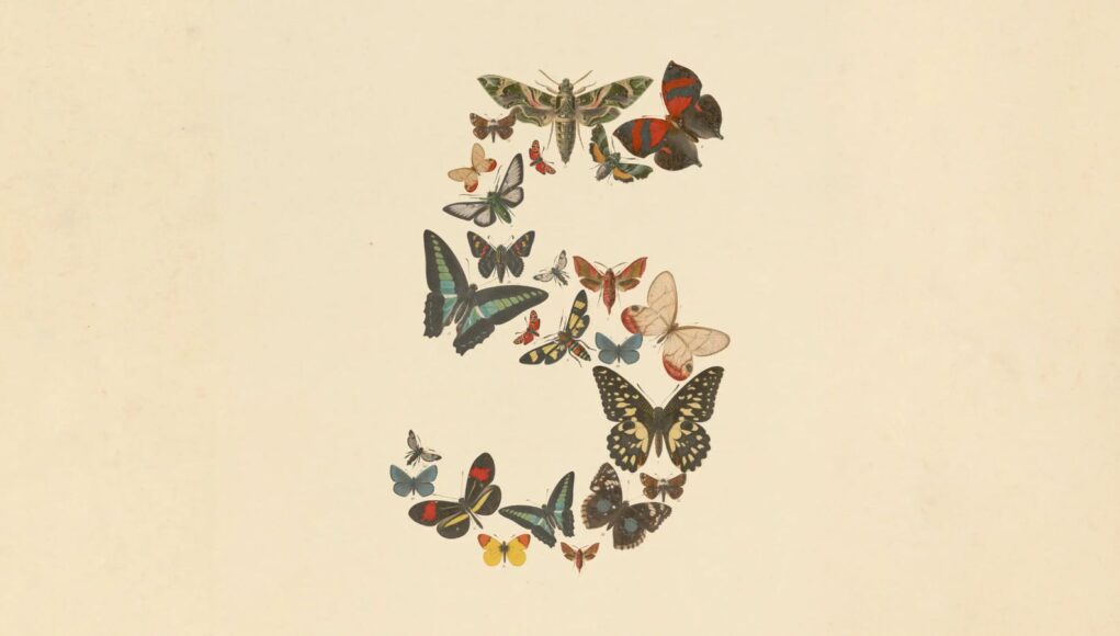 claude-fable-5